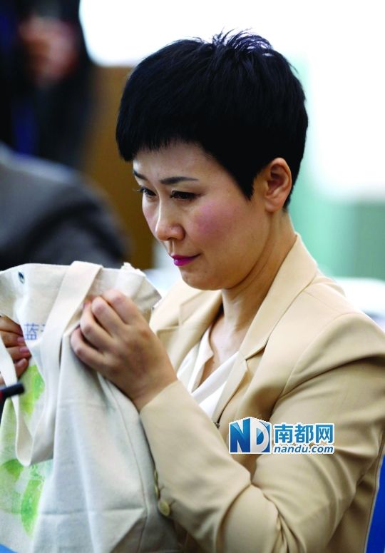 昨日，全国政协委员李小琳拿着环保袋参加经济组讨论。
