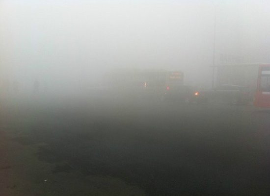 哈尔滨雾霾致公交车迷路 花6小时才到终点(图)