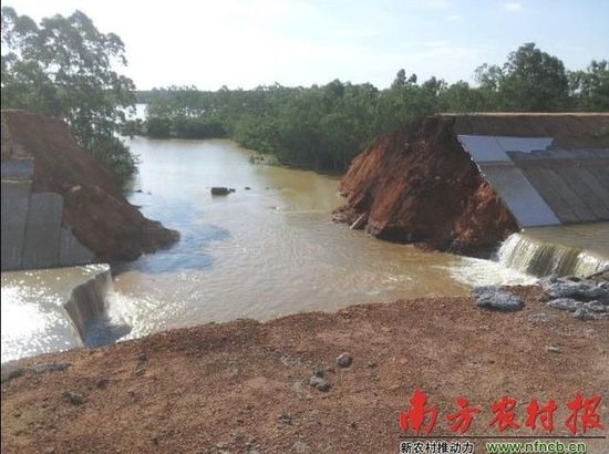 广东雷州副市长回应运河改造后决口:损失不大