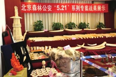 北京破获最大贩卖象牙案 涉案价值2439万元(图)