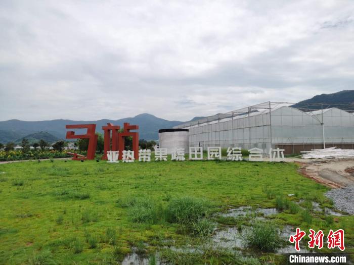 亚热带果蔬田园综合体 周禹龙 摄 浙江省苍南为城市发展引来“新风”